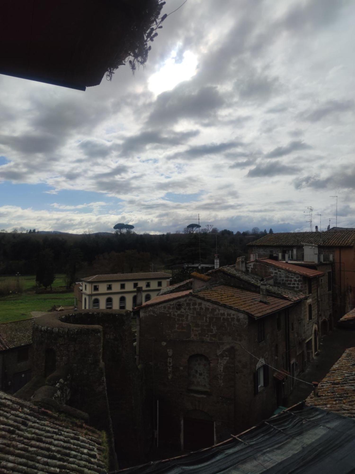 Barbera